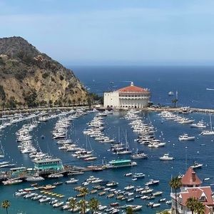 Meet your Posher, Rene